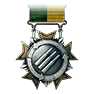 SUPPORT SERVICE MEDAL