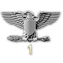 Colonel Service Star 1